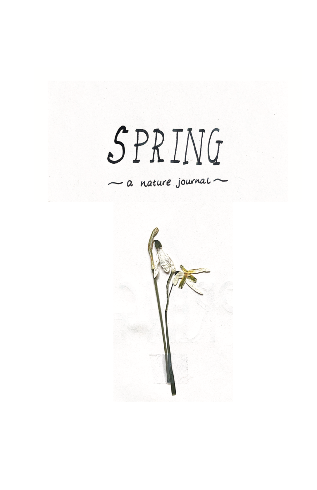 Nature Journal: Spring 2023