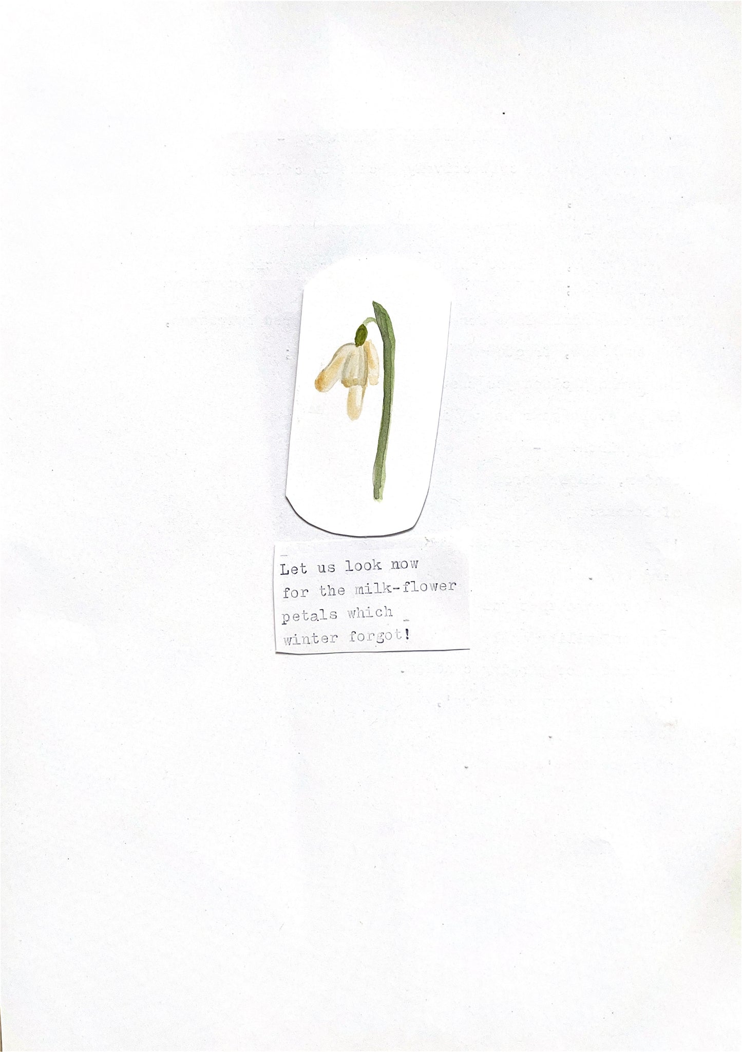 Nature Journal: Spring 2023